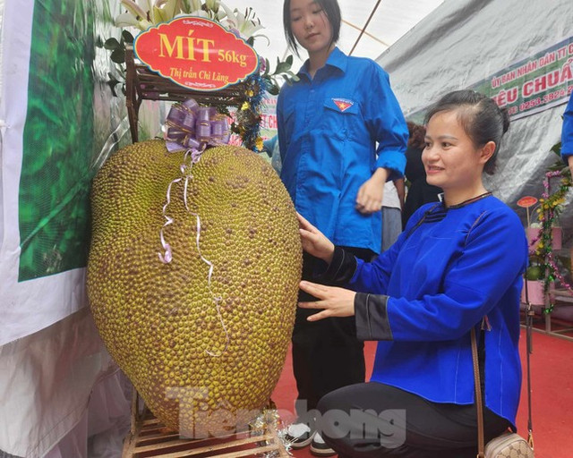 Lạng Sơn: Đấu giá hơn 200 triệu đồng một quả na - Hình 10 Lang Son: Dau gia hon 200 trieu dong mot qua na-Hinh-10