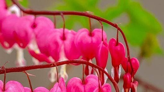 Về hưu, có bao nhiêu tiền tiết kiệm cũng đừng làm 2 điều này - Hình 2 Ve huu, co bao nhieu tien tiet kiem cung dung lam 2 dieu nay-Hinh-2