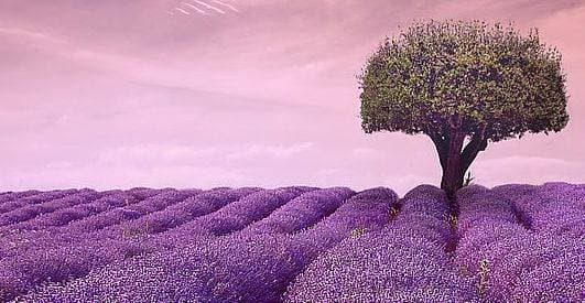 Về hưu, có bao nhiêu tiền tiết kiệm cũng đừng làm 2 điều này Ve huu, co bao nhieu tien tiet kiem cung dung lam 2 dieu nay
