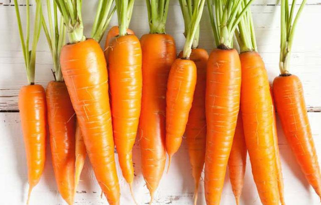 Những thực phẩm đại kỵ với cà rốt, có thể hóa "thuốc độc" - Hình 3 Nhung thuc pham dai ky voi ca rot, co the hoa
