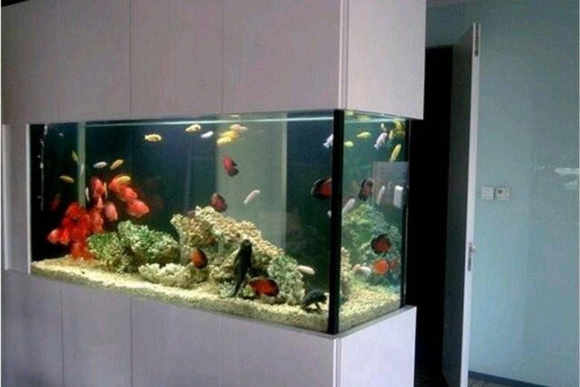 Đặt 3 thứ trước cửa sổ thu hút tài lộc, chặn đứng vận xui - Hình 2 Dat 3 thu truoc cua so thu hut tai loc, chan dung van xui-Hinh-2