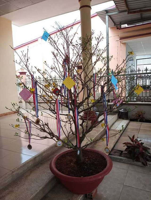 Hội học sinh trổ tài trang trí cây cảnh Tết dân tình xuýt xoa - Hình 4 Hoi hoc sinh tro tai trang tri cay canh Tet dan tinh xuyt xoa-Hinh-4