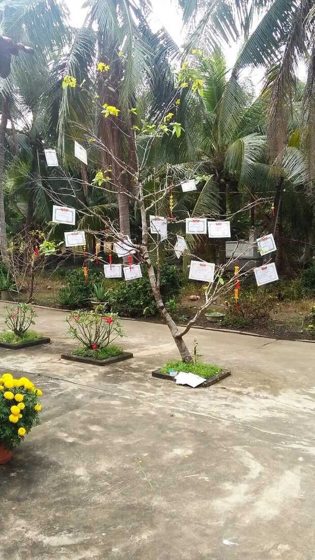 Hội học sinh trổ tài trang trí cây cảnh Tết dân tình xuýt xoa - Hình 5 Hoi hoc sinh tro tai trang tri cay canh Tet dan tinh xuyt xoa-Hinh-5