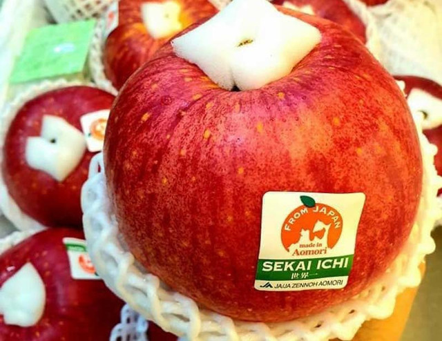 Vượt núi đá săn đàn chuột khổng lồ... chuyện lạ ngay Hà Nội - Hình 3 Vuot nui da san dan chuot khong lo... chuyen la ngay Ha Noi-Hinh-3