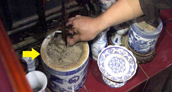 Lau dọn bàn thờ đừng làm lung lay 1 vật kẻo tán lộc, động tài Lau don ban tho dung lam lung lay 1 vat keo tan loc, dong tai