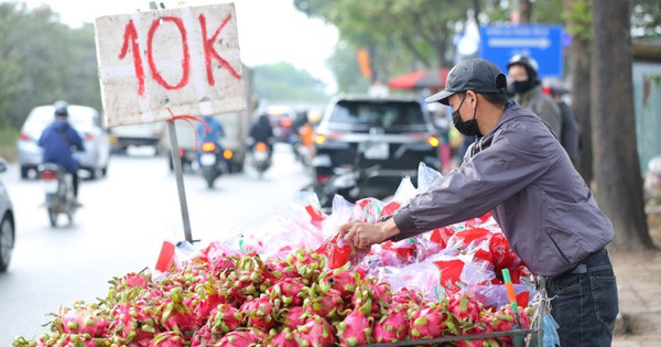 Thanh long Việt Nam xuất sang châu Âu giá 400.000 đồng 1 quả Thanh long Viet Nam xuat sang chau Au gia 400.000 dong 1 qua