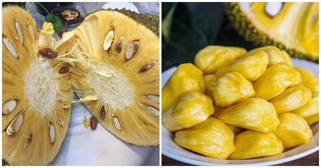 Mua mít thấy có 3 đặc điểm này thì an tâm bởi mít chín tự nhiên Mua mit thay co 3 dac diem nay thi an tam boi mit chin tu nhien