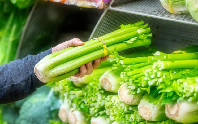 Cần tây bị phun hoá chất khi bán ở chợ sẽ có đặc điểm này - Hình 3 Can tay bi phun hoa chat khi ban o cho se co dac diem nay-Hinh-3