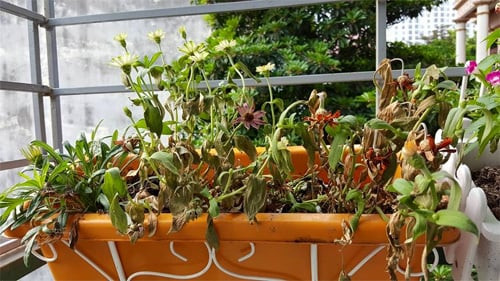 Cuối năm dọn nhà đừng giữ lại 7 thứ này kẻo xui xẻo bám đuôi - Hình 2 Cuoi nam don nha dung giu lai 7 thu nay keo xui xeo bam duoi-Hinh-2