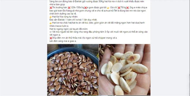 Hạt kơ nia rang hứa hẹn trở thành món độc đãi khách dịp Tết 2022 - Hình 5 Hat ko nia rang hua hen tro thanh mon doc dai khach dip Tet 2022-Hinh-5
