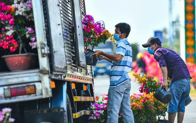 Hoa giấy ở "thủ phủ cây kiểng" miền Tây xuất vườn đón Tết - Hình 4 Hoa giay o