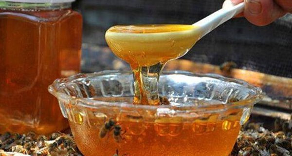 Đừng pha mật ong theo 5 cách này kẻo mất sạch dinh dưỡng Dung pha mat ong theo 5 cach nay keo mat sach dinh duong