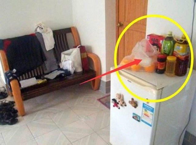 Đặt 4 thứ này trên nóc tủ lạnh sẽ cản tài lộc, gia đình nghèo khó - Hình 3 Dat 4 thu nay tren noc tu lanh se can tai loc, gia dinh ngheo kho-Hinh-3