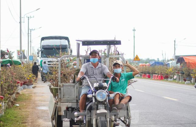 Các chủ vườn ở thủ phủ mai vàng miền Trung rao cây trên mạng xã hội - Hình 10 Cac chu vuon o thu phu mai vang mien Trung rao cay tren mang xa hoi-Hinh-10