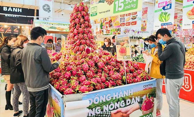 Thanh long chất núi trong siêu thị, mấy khi được ăn hàng xịn giá rẻ Thanh long chat nui trong sieu thi, may khi duoc an hang xin gia re