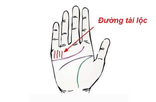 Bàn tay có 4 đặc điểm này là số giàu sang, phú quý - Hình 2 Ban tay co 4 dac diem nay la so giau sang, phu quy-Hinh-2