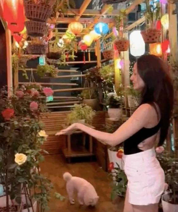 Bảo Anh gây chú ý về cuộc sống hiện tại và không gian sống - Hình 4 Bao Anh gay chu y ve cuoc song hien tai va khong gian song-Hinh-4