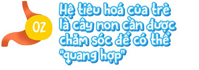 Muốn chăm con khỏe mạnh từ nhỏ, hãy bắt đầu từ hệ tiêu hóa! - Hình 2 Muon cham con khoe manh tu nho, hay bat dau tu he tieu hoa!-Hinh-2