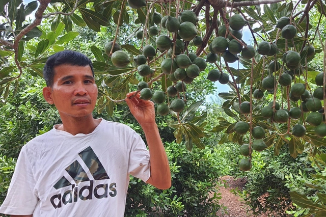 Tưởng vỡ mộng hóa ra 50 năm ngồi chơi thu tiền với “cây tỷ phú“ - Hình 2 Tuong vo mong hoa ra 50 nam ngoi choi thu tien voi “cay ty phu“-Hinh-2