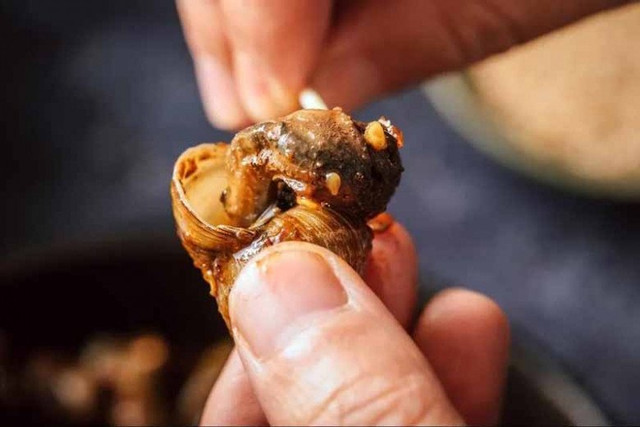 Ốc mua về đừng luộc ngay, ngâm với thứ này hết sạch bùn đất - Hình 2 Oc mua ve dung luoc ngay, ngam voi thu nay het sach bun dat-Hinh-2