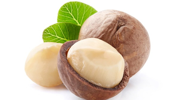 Loại hạt giảm mỡ máu tuyệt vời: Có rất nhiều ở Việt Nam - Hình 2 Loai hat giam mo mau tuyet voi: Co rat nhieu o Viet Nam-Hinh-2