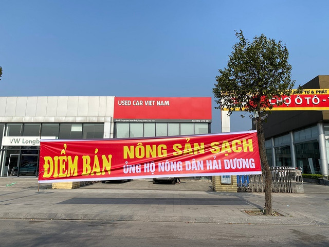Giải cứu Hải Dương: Nữ giám đốc cả ngày bốc vác, ông chủ biến showroom ô tô thành vựa rau củ Giai cuu Hai Duong: Nu giam doc ca ngay boc vac, ong chu bien showroom o to thanh vua rau cu