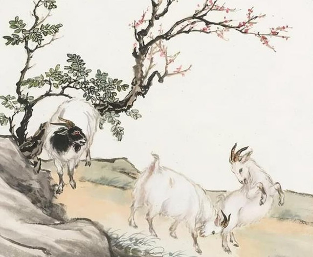 “Đàn ông sợ gà, đàn bà sợ cừu'” có ý gì? - Hình 3 “Dan ong so ga, dan ba so cuu'” co y gi?-Hinh-3