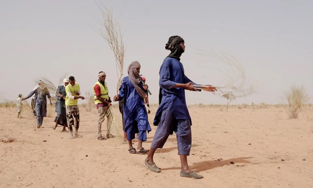 "Hoả ngục Sahara': Những bóng lưng tình nguyện đối đầu với lửa "Hoả ngục Sahara': Những bóng lưng tình nguyện đối đầu với lửa ảnh 1