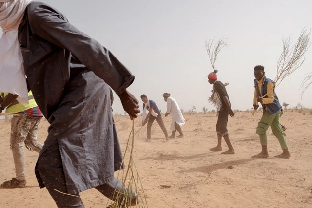 "Hoả ngục Sahara': Những bóng lưng tình nguyện đối đầu với lửa - Hình 4 "Hoả ngục Sahara': Những bóng lưng tình nguyện đối đầu với lửa ảnh 4