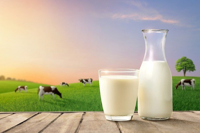 Những thực phẩm không dùng chung với sữa kẻo tiêu chảy, sỏi thận Nhung thuc pham khong dung chung voi sua keo tieu chay, soi than
