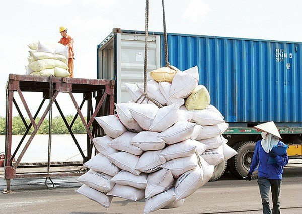 Tạm đình chỉ công tác 7 cục trưởng liên quan đến dự trữ gạo quốc gia Tam dinh chi cong tac 7 cuc truong lien quan den du tru gao quoc gia