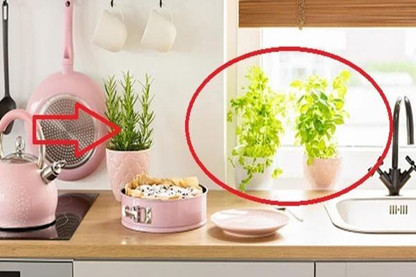 Bếp tụ tài đón lộc: Có 2 thứ đại cát, cuối năm làm gì cũng may Bep tu tai don loc: Co 2 thu dai cat, cuoi nam lam gi cung may