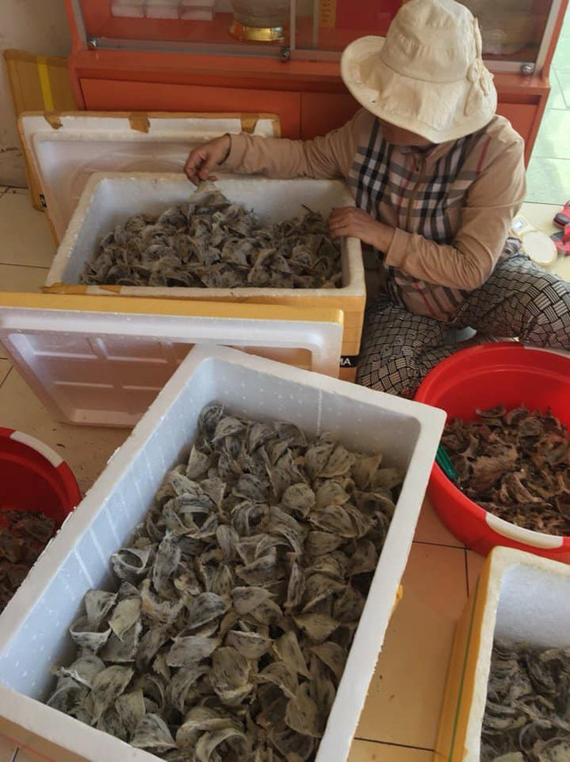 Tổ yến bốc hơi cả chục triệu/ký, dân nuôi chim tiền tỷ lo ngay ngáy To yen boc hoi ca chuc trieu/ky, dan nuoi chim tien ty lo ngay ngay