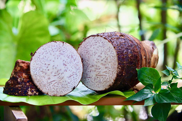 5 món ăn giúp bổ thận, ích tỳ vị nhớ bổ sung vào thực đơn - Hình 9 5 mon an giup bo than, ich ty vi nho bo sung vao thuc don-Hinh-9
