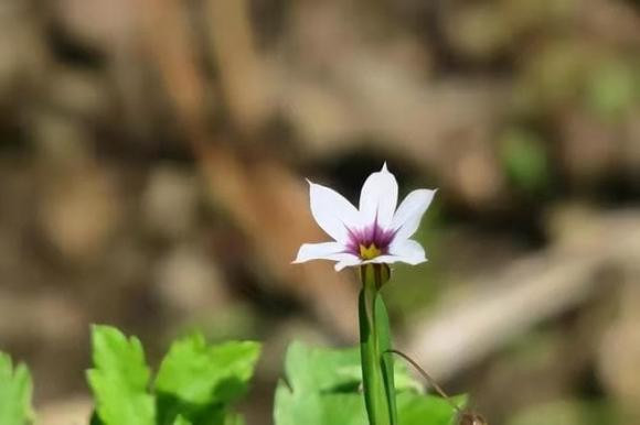 Về già đừng cho con cái ba loại tiền này, kẻo phản tác dụng - Hình 3 Ve gia dung cho con cai ba loai tien nay, keo phan tac dung-Hinh-3