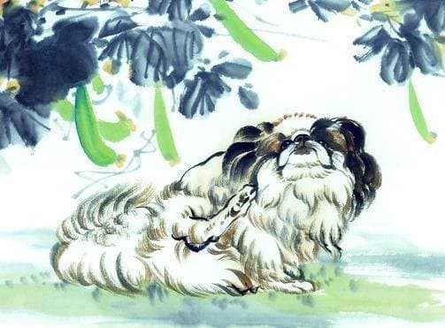 Từ giữa tháng 10/2022: Thần Tài tìm đến 4 con giáp mở cửa thấy vàng - Hình 3 Tu giua thang 10/2022: Than Tai tim den 4 con giap mo cua thay vang-Hinh-3