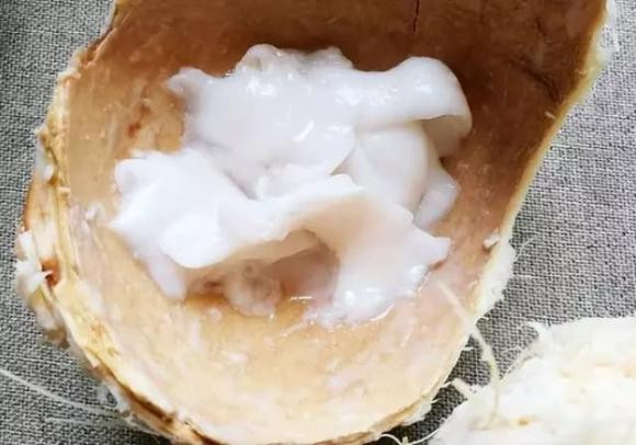 Tại sao không nên ăn dừa và uống nước dừa nhiều vào mùa hè? - Hình 2 Tai sao khong nen an dua va uong nuoc dua nhieu vao mua he?-Hinh-2