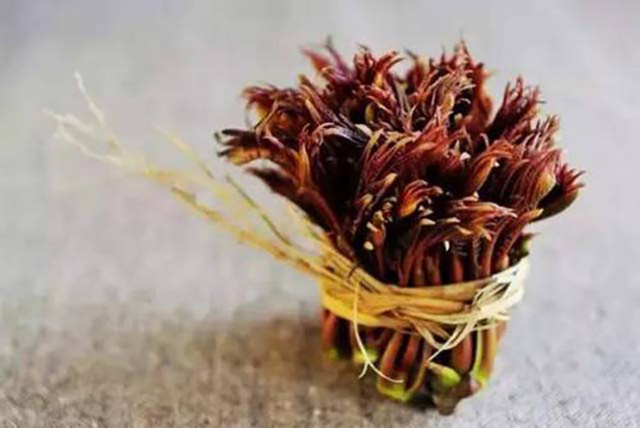 Loại cây ở Việt Nam mọc dại có độc, ở nước ngoài bán 600.000/kg - Hình 8 Loai cay o Viet Nam moc dai co doc, o nuoc ngoai ban 600.000/kg-Hinh-8