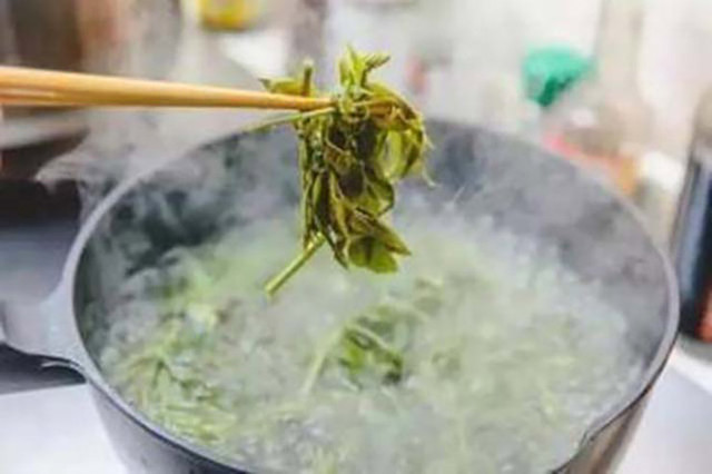 Loại cây ở Việt Nam mọc dại có độc, ở nước ngoài bán 600.000/kg - Hình 9 Loai cay o Viet Nam moc dai co doc, o nuoc ngoai ban 600.000/kg-Hinh-9