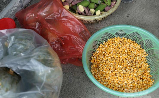 Loài vật lạ 9X đem về nuôi, bán làm đặc sản thu tiền tỷ - Hình 10 Loai vat la 9X dem ve nuoi, ban lam dac san thu tien ty-Hinh-10