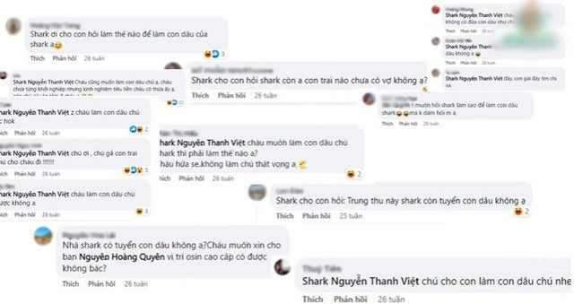 Tiêu chí 'Shark' Việt chọn dâu, nghe đơn giản mà khó không tưởng Tieu chi 'Shark' Viet chon dau, nghe don gian ma kho khong tuong