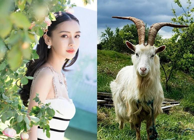 Đúng 7 ngày nữa, 3 con giáp đổi mệnh phát tài, có thêm thu nhập Dung 7 ngay nua, 3 con giap doi menh phat tai, co them thu nhap