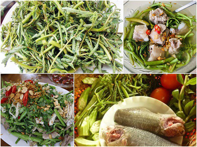 Loại cây dại "lớn nhanh như thổi", dân đem về trồng kiếm cả trăm triệu - Hình 6 Loai cay dai
