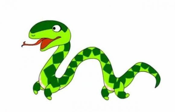 Tại sao rắn đi bằng bụng? Tai sao ran di bang bung?