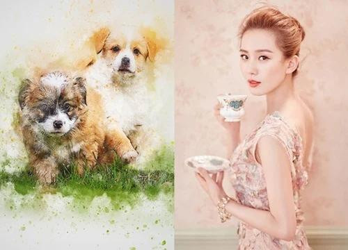 3 con giáp tránh xa thói khẩu nghiệp, thị phi để cuộc sống an yên 3 con giap tranh xa thoi khau nghiep, thi phi de cuoc song an yen