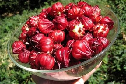 5 thực phẩm dọn sạch 'rác thải' sau Tết - Hình 4 5 thuc pham don sach 'rac thai' sau Tet-Hinh-4