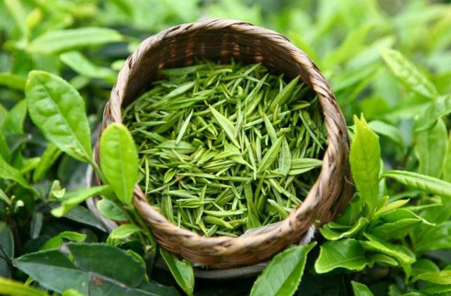 5 thực phẩm dọn sạch 'rác thải' sau Tết - Hình 3 5 thuc pham don sach 'rac thai' sau Tet-Hinh-3