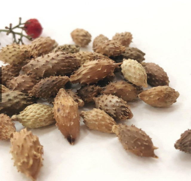 Quả dại Việt Nam sang nước ngoài thành thảo dược giá trên trời - Hình 12 Qua dai Viet Nam sang nuoc ngoai thanh thao duoc gia tren troi-Hinh-12