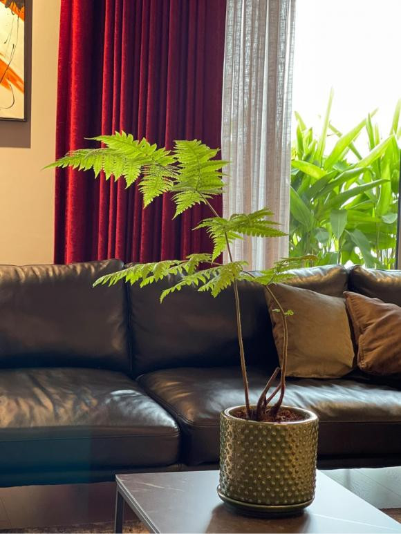 Bên trong penthouse sang chảnh của vợ chồng MC Thành Trung - Hình 12 Ben trong penthouse sang chanh cua vo chong MC Thanh Trung-Hinh-12