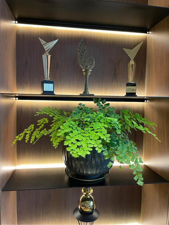 Bên trong penthouse sang chảnh của vợ chồng MC Thành Trung - Hình 10 Ben trong penthouse sang chanh cua vo chong MC Thanh Trung-Hinh-10